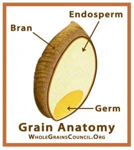 whole grain kernel
