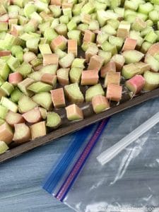 How to Freeze Rhubarb For Year Round Use