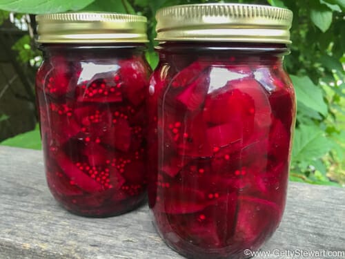 pickled beets in jars w