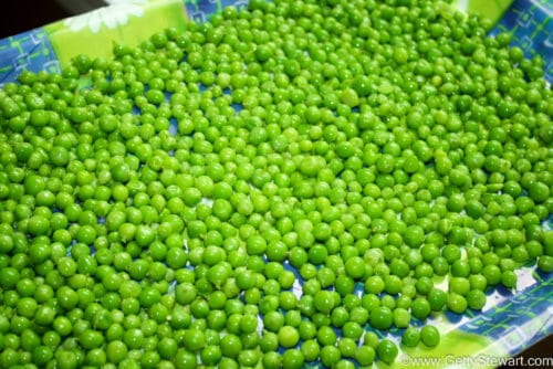 tray freezing peas