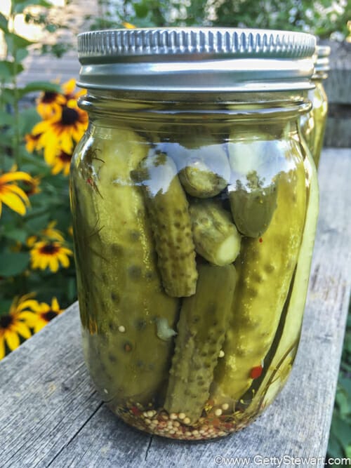garlic dill pickles l