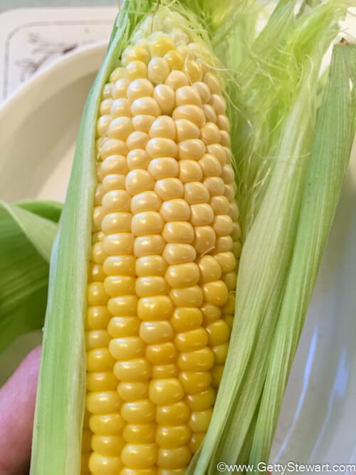 not quite finished corn on cob in microwave