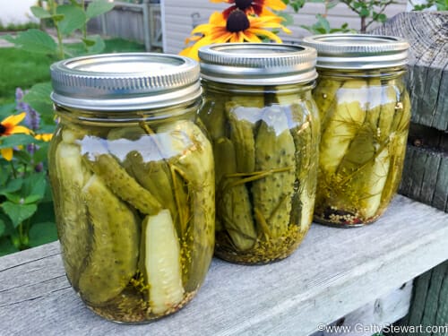 dill pickles 3 w