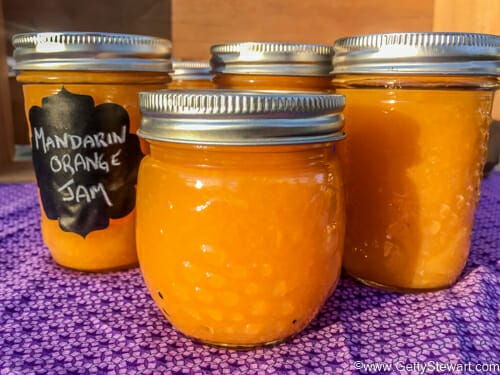 mandarin orange jam