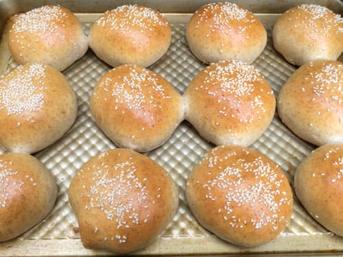 whole wheat hamburger buns on baking sheet