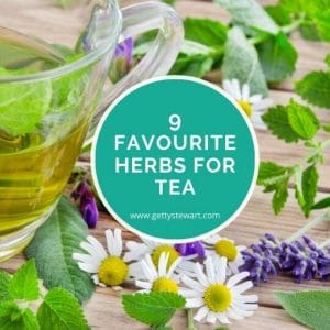 Favorite Herbs to Grow for Tea