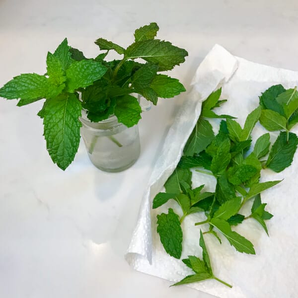 mint in vase and in paper towel to store