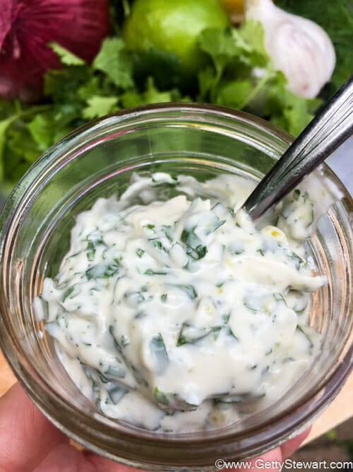 cilantro mayonnaise condiments