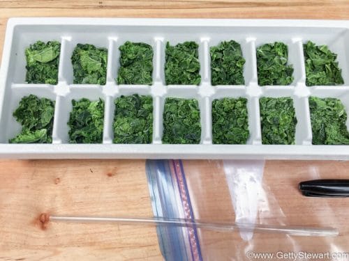 kale in ice cube tray