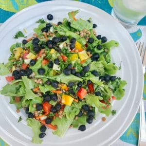 Saskatoon Wheat Berry Salad – Whole Grain Salad