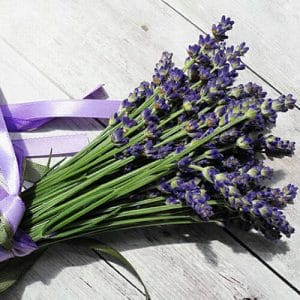 Lavender – An Aromatic Herb Perfect for Gifts From the Kitchen