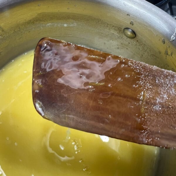 wet wooden spoon over pot with lemon in it