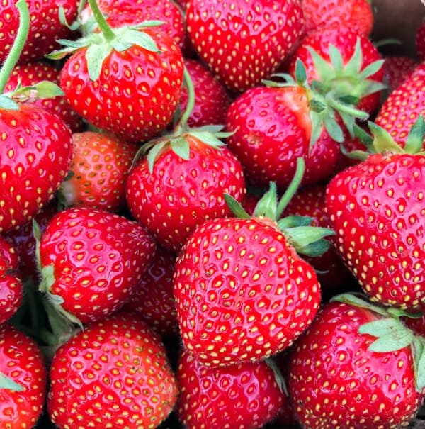 https://eqhct8esjgc.exactdn.com/wp-content/uploads/2019/07/beauty-strawberries-sq.jpg?strip=all&lossy=1&resize=600%2C605&ssl=1