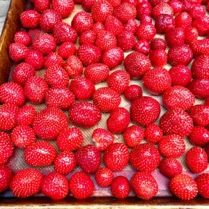 strawberries on tray