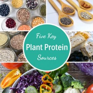 Five Sources of Plant Protein for Everyday Cooking