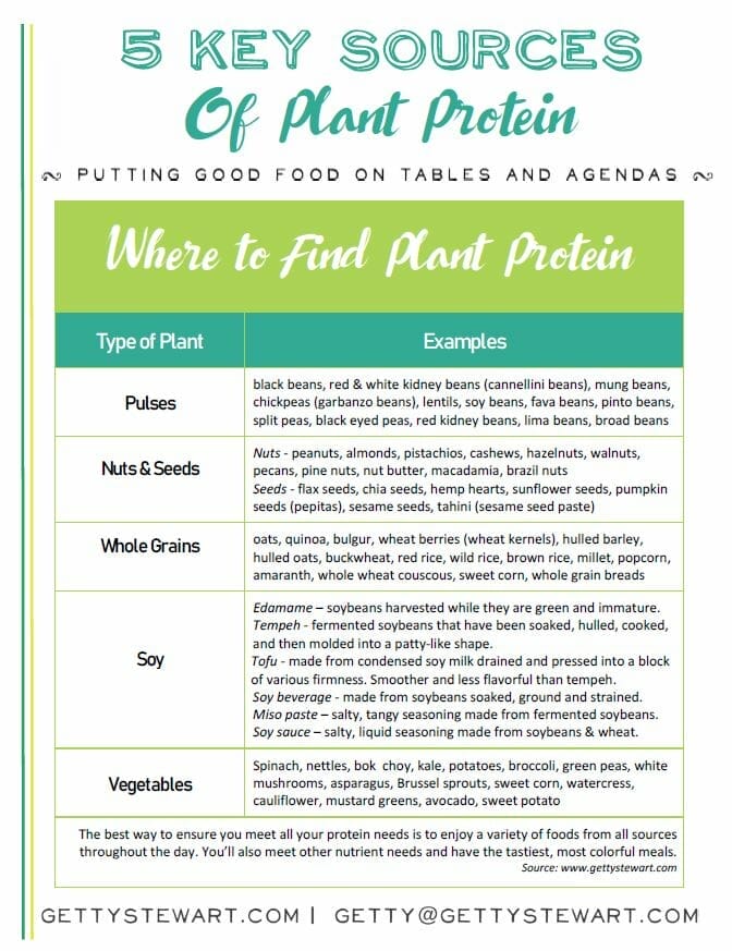 sources of plant protein
