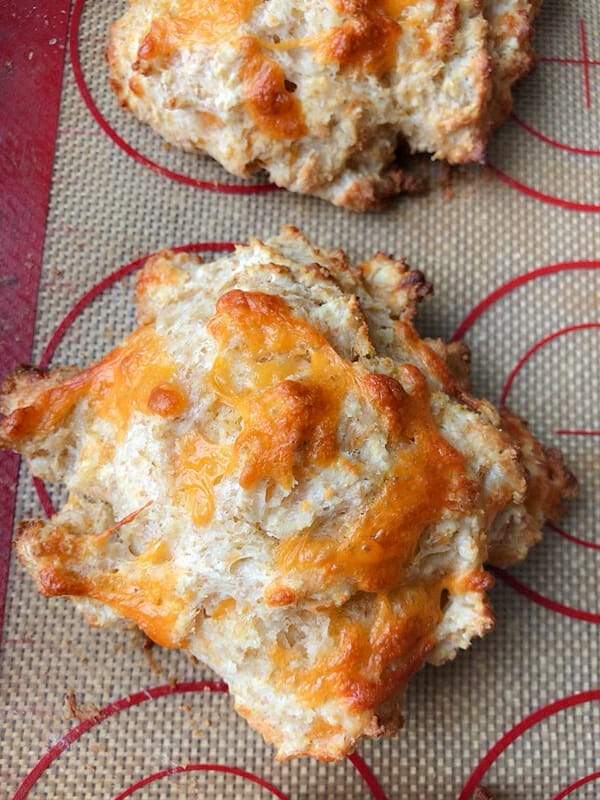 cheddar cheese biscuit baked