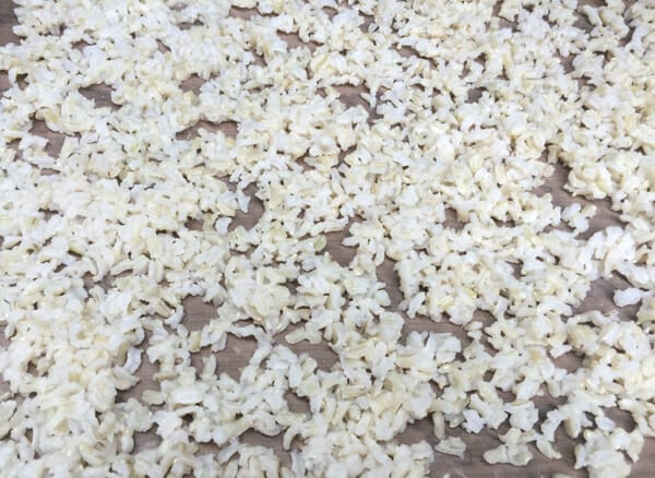 cooked rice on tray