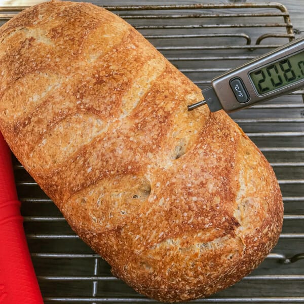 thermometer to test if bread is done