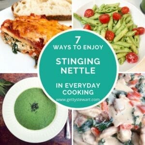 7 Ways to Cook with Stinging Nettle