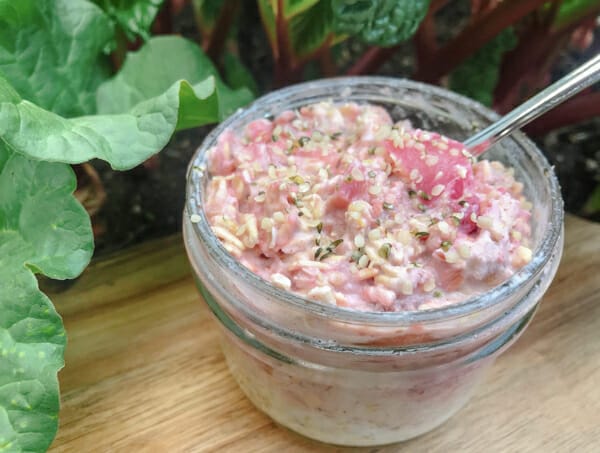 overnight rhubarb oats in bowl ready to serve