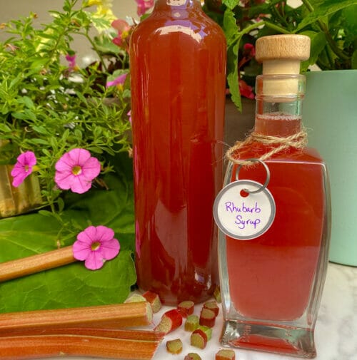 How to Make Rhubarb Simple Syrup for Mocktails and Cocktails