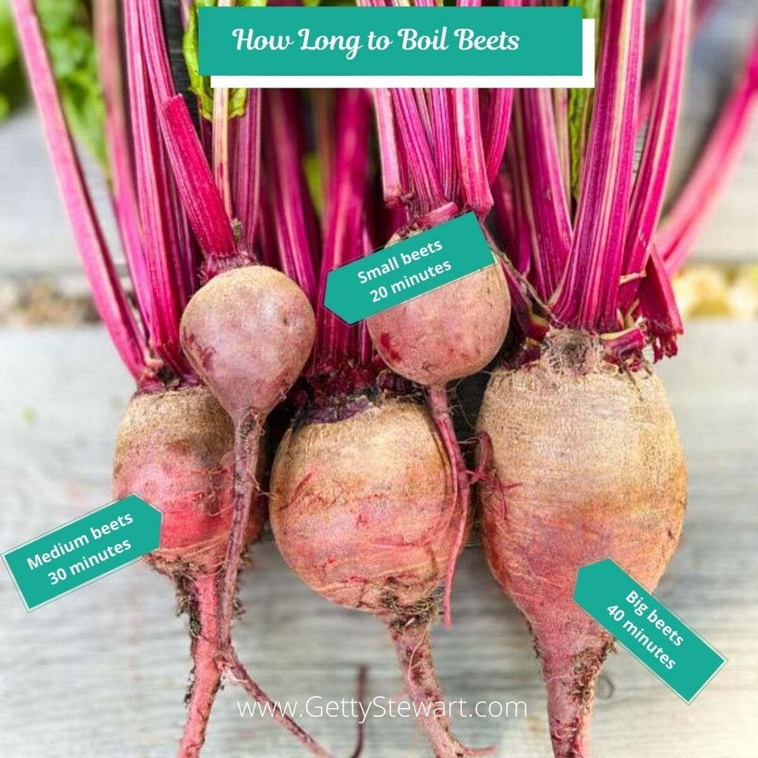 graphic how long to boil beets
