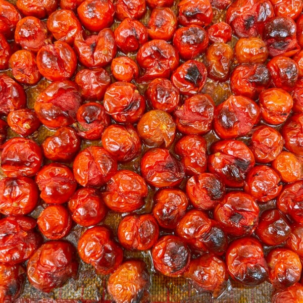 lightly charred and roasted cherry tomatoes on baking sheet