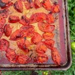 roasted slicing tomatoes with garlic and seasoning on baking sheet slightly charred