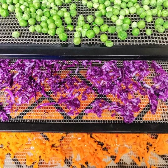 peas, red cabbage and carrots in dehydrator