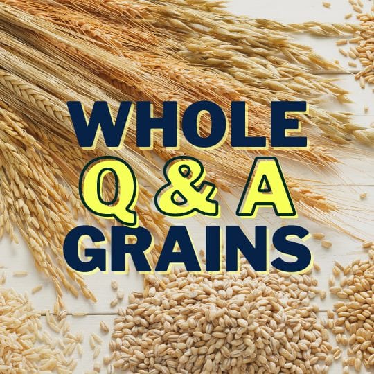 Whole Grain Q&A and Panel Discussion