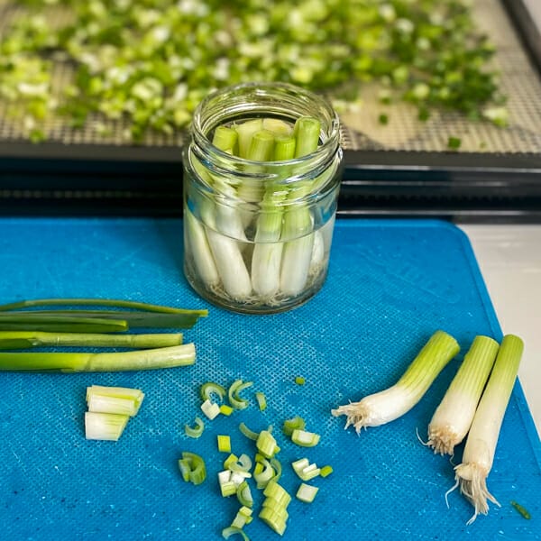 green onions on cutting board saving roots in jar of water