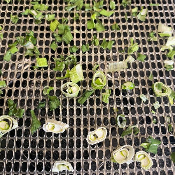dried green onions on mesh tray