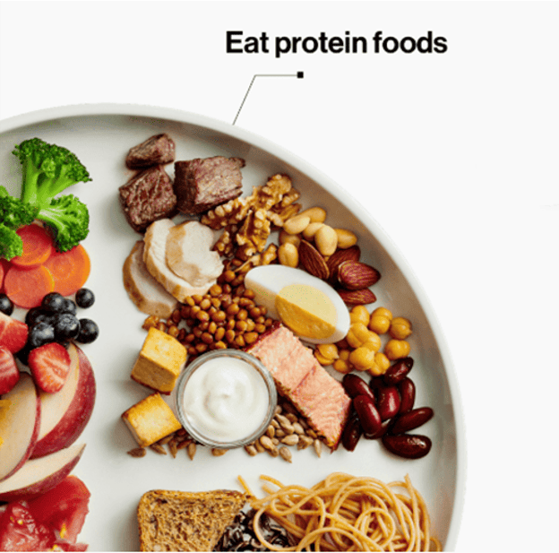 protein section of canadas food guide