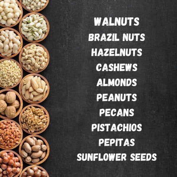 list of nuts and seeds