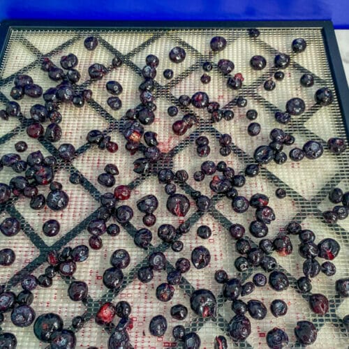 frozen blueberries on tray