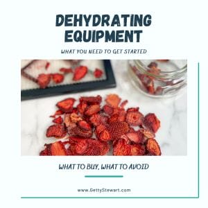 Dehydrating Equipment – What you Need to Get Started
