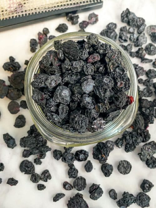 jar of dehydrated blueberries
