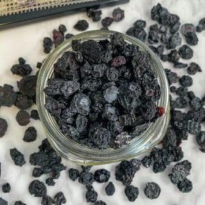 How to Dehydrate Blueberries in the Dehydrator