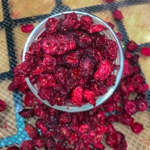 How to Make Homemade Dried Cranberries