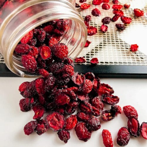 dried cranberries spilling out of jar