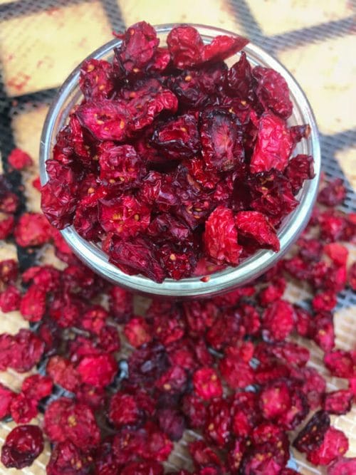 dried cranberries in jar