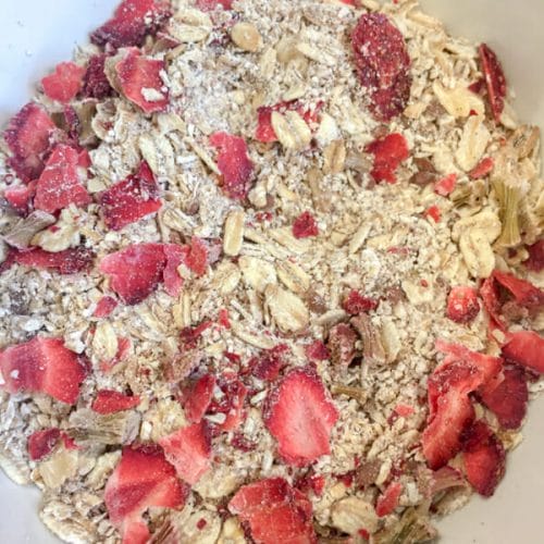 dried strawberries in oatmeal mix