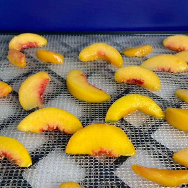 peaches on mesh tray