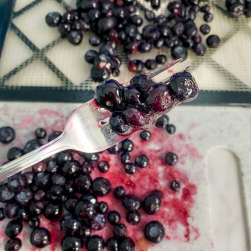 blueberries on fork