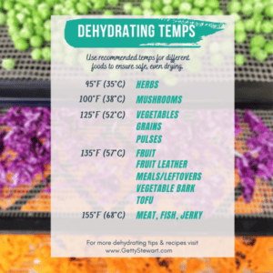 Recommended Temperatures for Dehydrating Different Foods