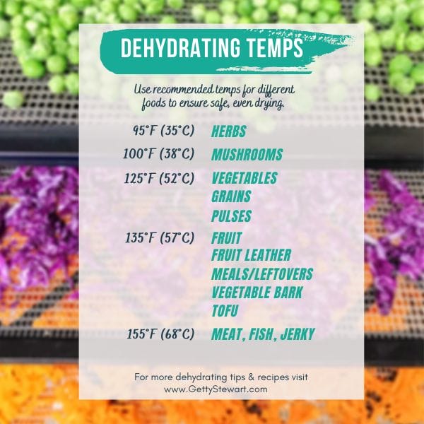 Test the Temperature on Your Dehydrator for Safe Dehydrating - The