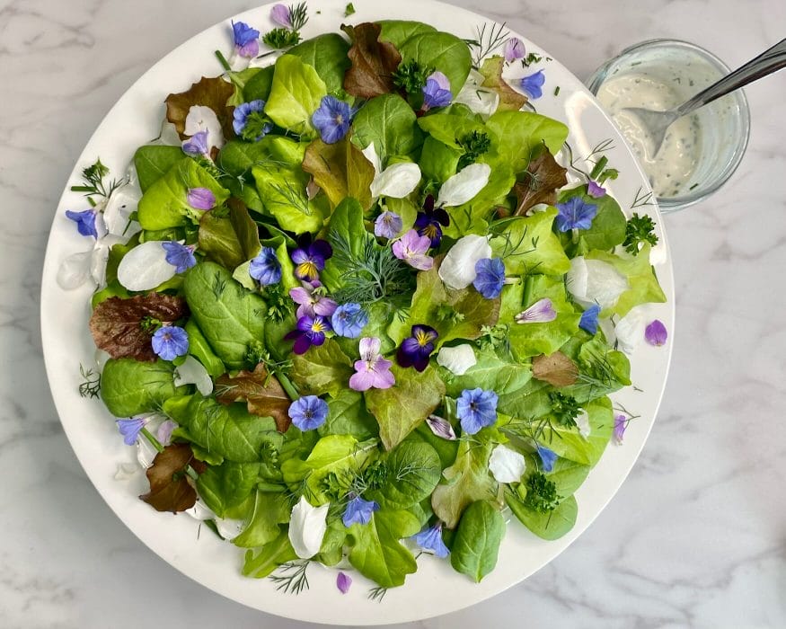 platter of tender leafy greens, edible flower petals and buttermilk ranch dressing