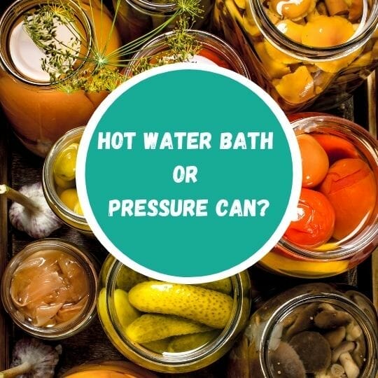 Pressure Cookers versus Pressure Canners - Healthy Canning in