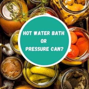 Canning Food – When to use a Hot Water Bath or Pressure Canner